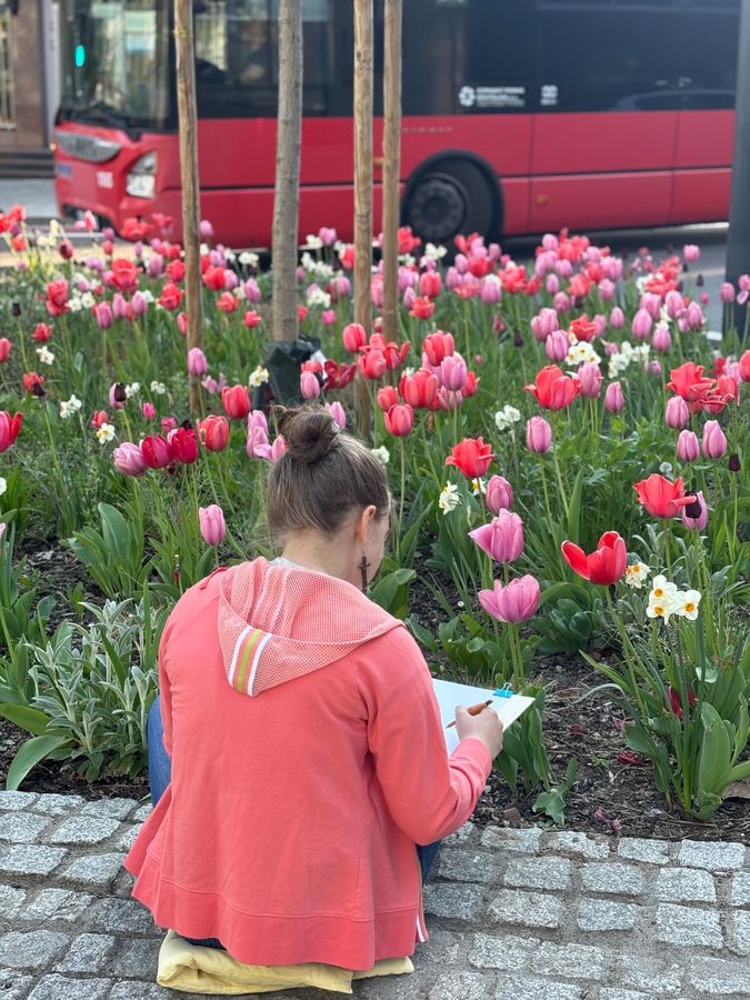 A student in a coral hoodie sits on the kerb sketching a bed of red and pink tulips.